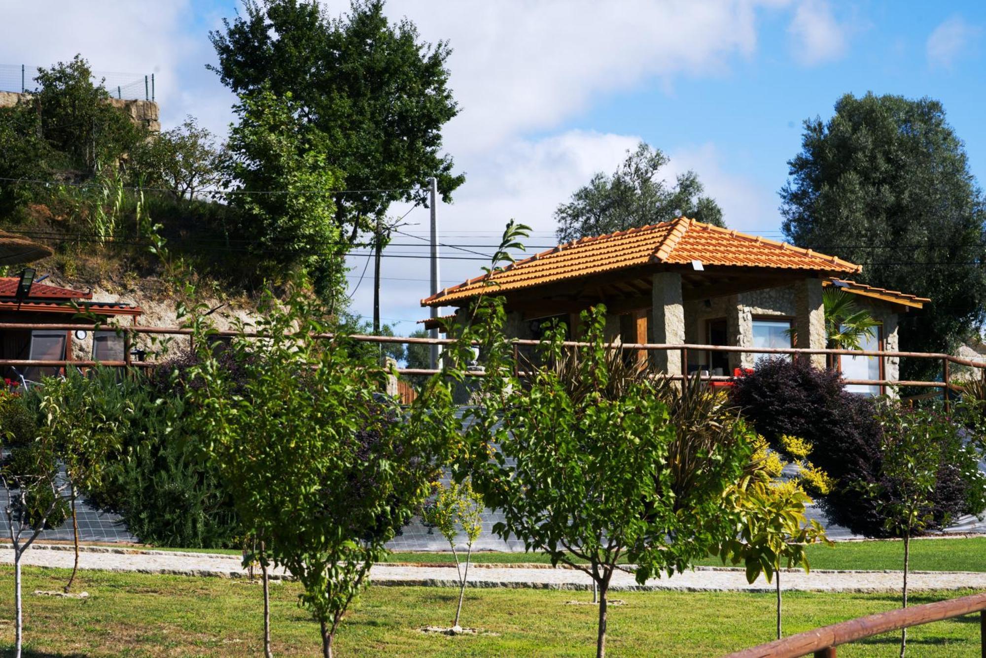 Villa Ramiro Celorico De Basto Dış mekan fotoğraf